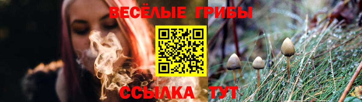 сколько стоит  Псилоцибиновые грибы ЛСД  Вход с VPN  Рыбинск 